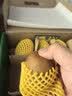 佳沛（zespri）新西兰金奇异果12粒特大果124-146g猕猴桃水果礼盒 实拍图