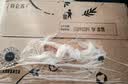 蒙牛【新鲜日期】特仑苏纯牛奶250ml*16盒 3.6g蛋白 送礼礼盒 实拍图