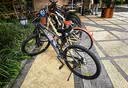 捷安特挡泥板环保可溯源泥除EcoTrace BiolD Fender 实拍图