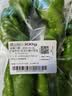 【蘸酱菜】螺丝椒 约300g 实拍图