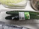 卷心菜约800g 实拍图