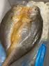 三都港 冷冻醇香黄鱼鲞500g 三去黄花鱼 生鲜 烧烤食材 海鲜 中秋礼品 实拍图
