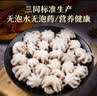 美加佳三去章鱼仔净重1斤（12-25只）火锅八爪鱼 去牙去脏中秋聚餐 实拍图
