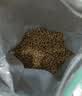 凯锐思博美狗粮 幼犬成犬小型犬4斤专用粮棕色白色白毛 2kg 实拍图