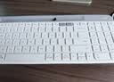 罗技（Logitech）时尚系列 K580 无线蓝牙键盘 办公键盘 便携超薄 笔记本键盘 平板键盘 芍药白 101键 实拍图