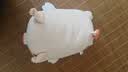 名创优品（MINISO）小猪B-BO玩偶公仔毛绒娃娃抱枕靠枕生日礼物女儿童玩具趴趴bobo猪 实拍图
