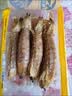 海速达皮皮虾 净重1斤15-22只 中大号满肉熟冻濑尿虾爬子虾婆姑 实拍图
