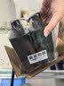 满婷（MANTING）青花椒头皮养护洗发乳550ml*2瓶(无硅油洗发水男女保湿控油去油) 实拍图