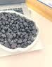 沃田蓝独立小包蓝莓果干孕妇蜜饯果脯小吃办公室休闲零食 500g*1袋 实拍图