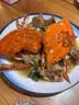 【冷冻】鲜喜利梭子蟹新鲜特大野生舟山大螃蟹海鲜蟹水产飞蟹白蟹 9两以上/只 【净重5斤 舟山直发 坏单包赔】 实拍图