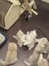 麦德氏猫咪专用羊奶粉200g 幼猫奶粉成猫羊奶粉新生猫咪宠物羊奶粉 猫咪专用羊奶粉 实拍图