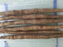 张宝山河南焦作特产垆土铁棍山药【严选3斤净重】长45-50cm源头直发 实拍图