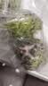 京鲜生云南牛奶释迦果番荔枝净重4斤装单果250g+生鲜水果源头直发包邮 实拍图
