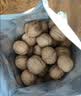 楼兰蜜语薄皮大核桃500g/袋*2 新疆纸皮核桃新货 新二核桃零食坚果炒货 实拍图