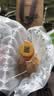 李渡高粱献礼畅饮版兼香型白酒45度 500ml*2瓶双支装 江西名酒 实拍图