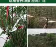 漫德莱园艺驱鸟彩带6个装果园农田用驱鸟带警示反光带彩条25mm宽红银 实拍图