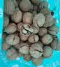 楼兰蜜语【新货】高品质阿克苏年新薄皮核桃5斤原味中秋礼盒特产坚果零食 实拍图