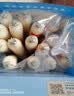 小鹿蓝蓝海洋无污染鳕鱼肠300g 宝宝儿童零食益生元鳕鱼肉肠 出游节日送礼 实拍图