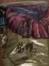 五芳斋酱鸭礼盒 江南名卤 熟食卤味即食下酒菜  真空酱鸭礼盒300g*2只 实拍图