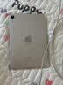 Apple/苹果 iPad mini (A17 Pro) 8.3英寸 平板电脑(256G WLAN版mini7MXND3CHA)星光色 实拍图