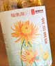 福东海胎菊138克*2罐装【当季新采特优】夏季高温团购家庭装分量足桐乡 实拍图