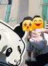 巴拉巴拉童装儿童短袖t恤男童女童2026新婴儿夏装舒适纯棉上衣宝宝半袖 实拍图