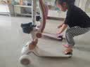 361°儿童滑板车3-6-10岁可坐男女小孩滑行踏板车宝宝送节日礼物611A 实拍图