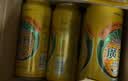 广氏菠萝啤果味饮料500ml*12听大罐果啤整箱装汽水中秋送礼 实拍图