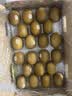 佳沛（zespri）新西兰金奇异果22粒巨大原箱146-175g猕猴桃水果礼盒 实拍图