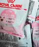 皇家猫粮 幼猫猫粮 幼猫奶糕 K36 通用粮 4-12月 2KG 实拍图