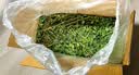 喜帅烘干紫花苜蓿草 幼兔兔粮牧草干草龙猫荷兰猪磨牙饲料净重750g 实拍图