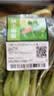 七鲜24小时油菜苗250g(长度≤17cm) 实拍图