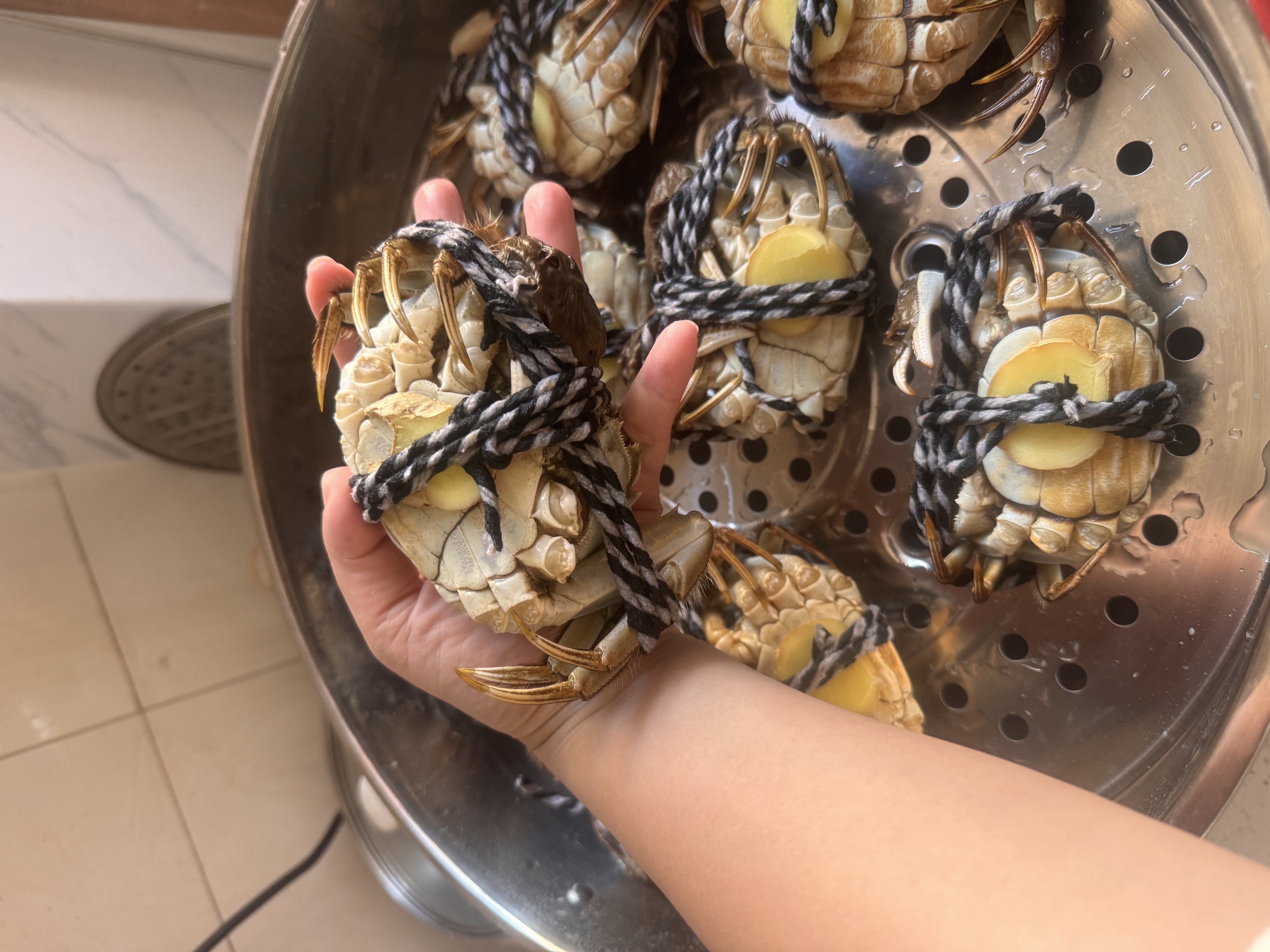 【活蟹】（残蟹）鲜活大闸蟹少腿蟹兴化大闸蟹断腿蟹泰州鲜活螃蟹 公4.4-4.7两 母3.4-3.7两 5对10只 实拍图