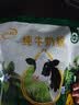 伊利纯牛奶粉 成人奶粉 营养早餐高钙高蛋白纯生牛乳 便携装16条 320g 实拍图