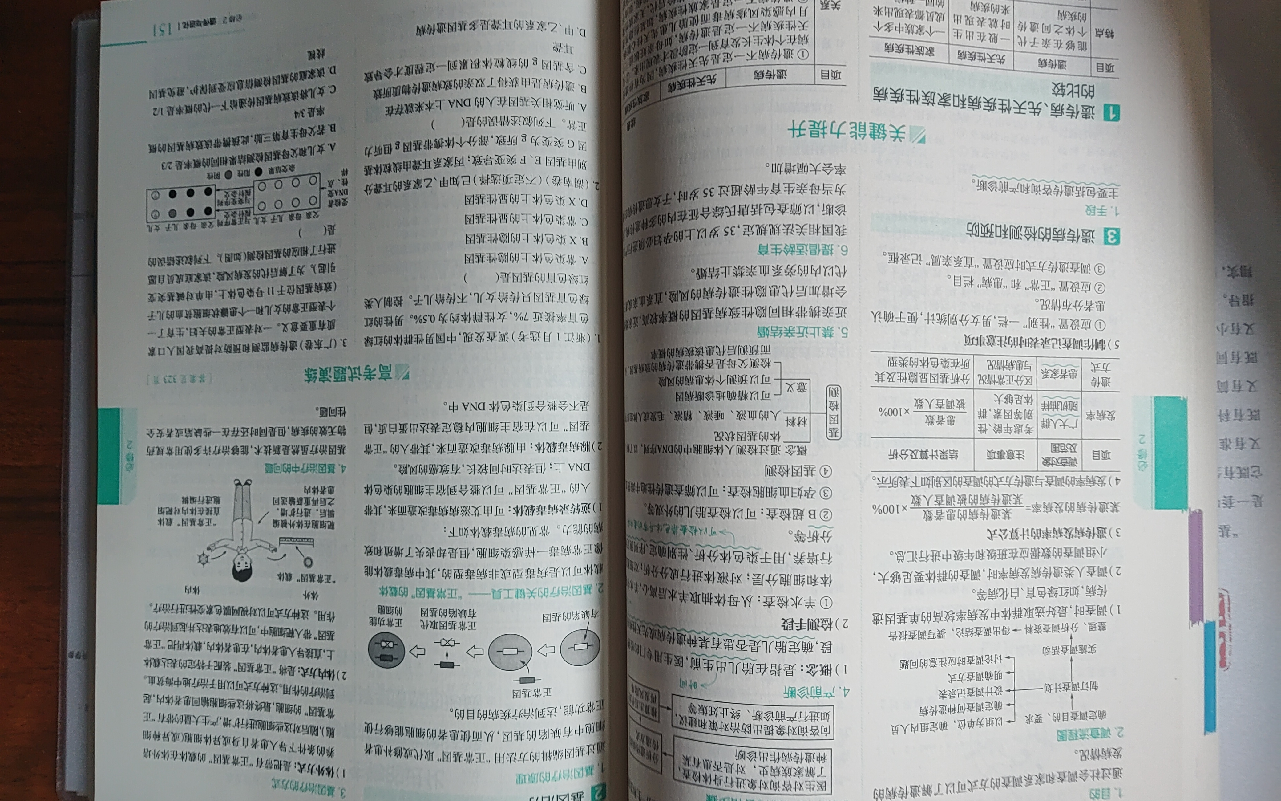 2026新版 基础知识手册 高中生物 薛金星、高考备考知识、高考手册知识梳理必备 实拍图