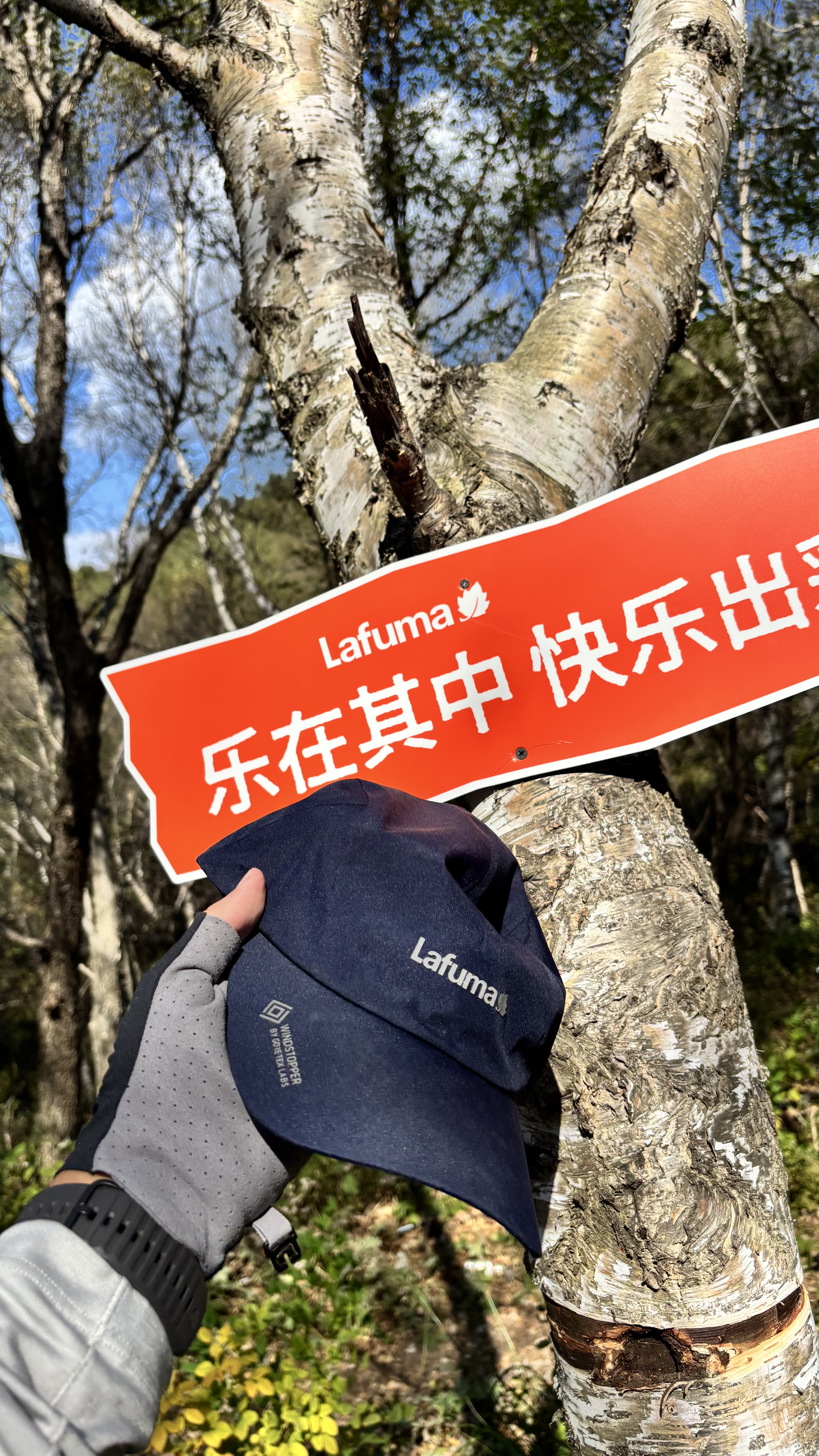 开拓者（pioneer）天狼星8系 新款登山杖超轻碳纤维铝合金手杖三节外锁伸缩拐杖绿色 实拍图
