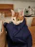 K9冻干鸡肉粒猫咪零食幼猫成猫通用猫犬高蛋白宠物零食500g 实拍图
