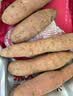 佳农宝菜鹤壁哈密白薯单果100g+白心红薯净重7斤地瓜源头直发 实拍图