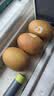 佳沛（zespri）新西兰 金奇异果特大果15粒134-146g猕猴桃中秋节礼品送水果礼盒 实拍图
