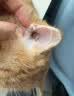 BEAUTY NOTES宠物除臭剂猫咪狗狗生物酶除臭味分解尿味抑菌除螨喷雾母婴安全 实拍图