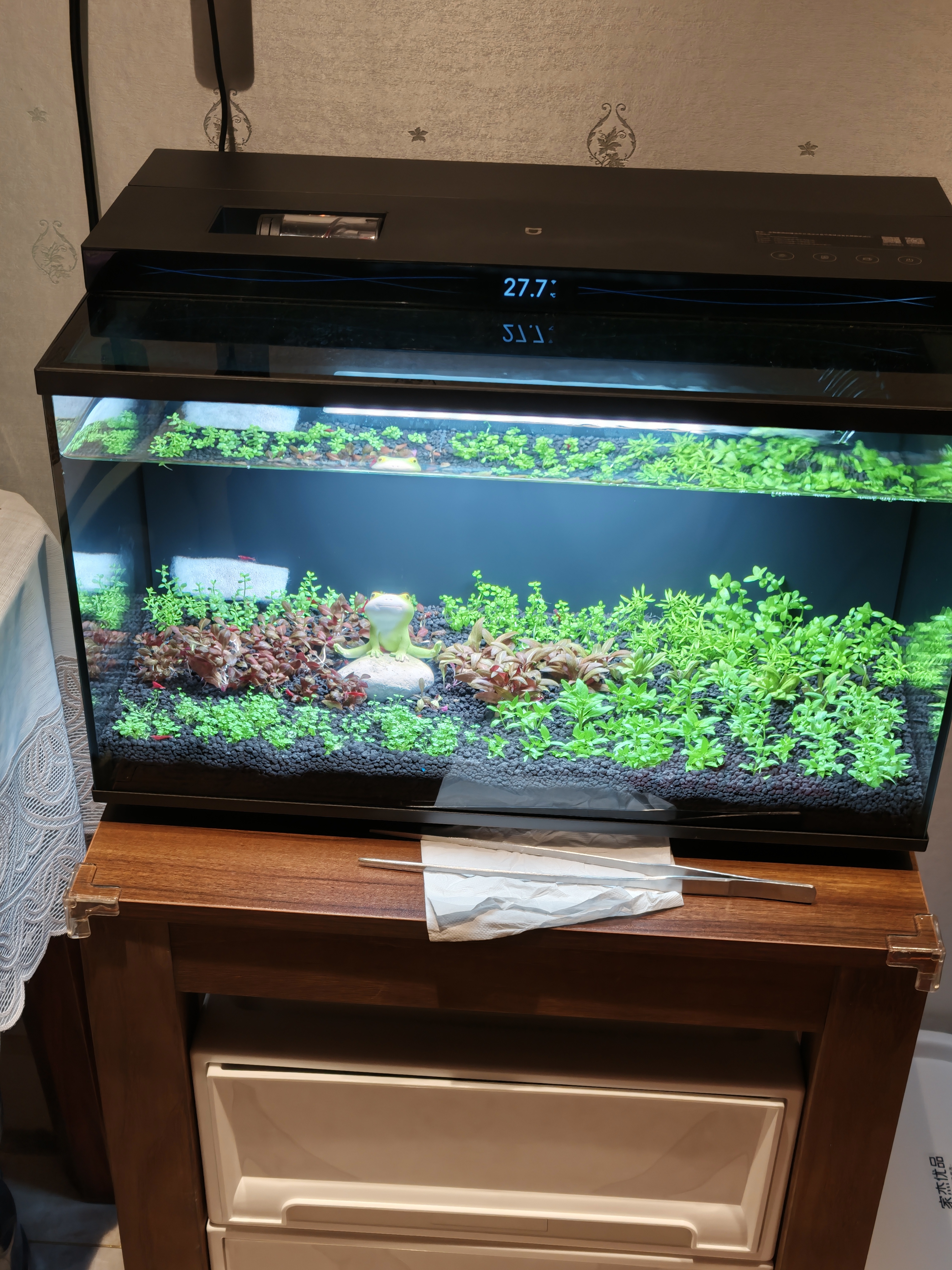 尼特利二代水草泥鱼缸专用水藻泥生态草缸底砂营养土3L/袋 实拍图