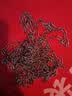 米奇特工（AGENTS MICKEY） 304不锈钢链条 起重链栏杆链吊灯链装饰隔断钢链  1.5mm 5米 【京仓配送】 实拍图