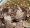 呼贝伦内蒙古滩羊 整条羊肉卷5斤 原切暖冬涮火锅食材生鲜羊肉 实拍图