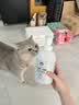 雪貂留香宠物沐浴露 猫咪免水洗泡泡浴液免洗泡泡慕斯猫用520mL 实拍图