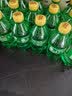 可口可乐檀健次代言 雪碧 Sprite柠檬味汽水碳酸饮料300ml*24瓶 整箱装 实拍图