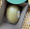 佳沛（zespri）新西兰阳光金奇异果6粒装88-103g猕猴桃水果中秋节礼品送水果礼盒 实拍图