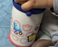 babycare儿童水杯6个月以上宝宝霸王龙不锈钢保温杯上学450ml-新旧款混发 实拍图