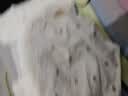 俞兆林5条装内裤女全纯棉7A抗菌少女内裤初中生青春期女孩透气女士内裤 实拍图