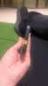 Apple/苹果 苹果 iPhone 17/16/15/14/13/12/11/X系列二手手机商品详情见质检报告 苹果 iPhone 13 实拍图