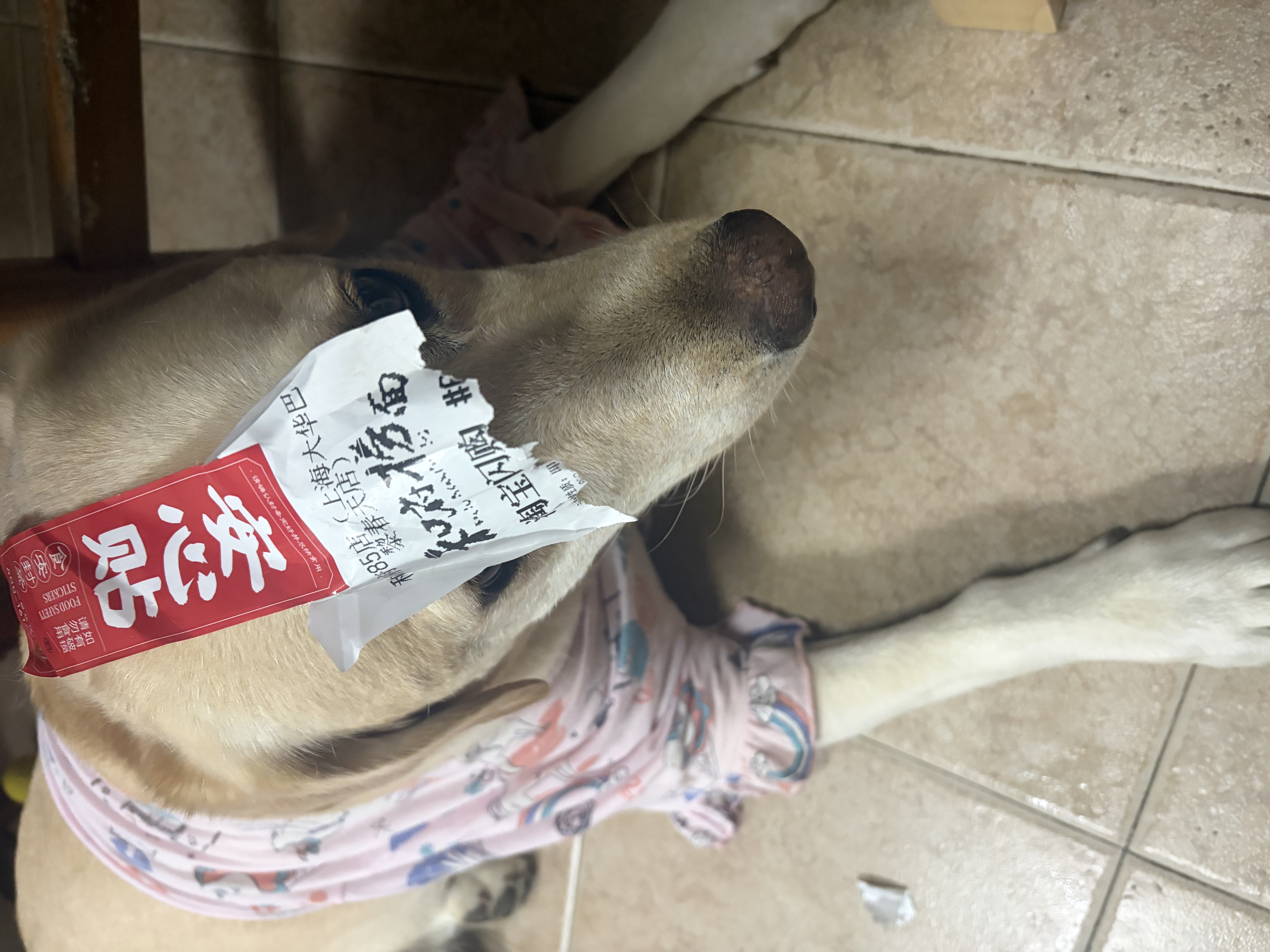 Orijen渴望狗粮 成犬幼犬无谷原味鸡肉进口全价通用犬粮11.4kg效期27/11 实拍图